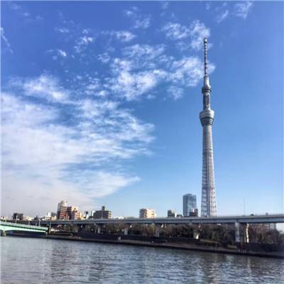 我在三国当主公破解版下载